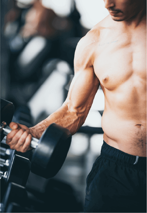 マッスルファクトリー